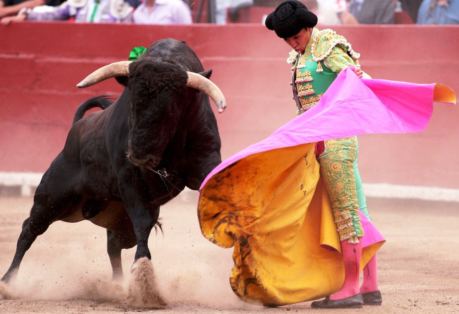 Spain to scrap its national bullfighting prize