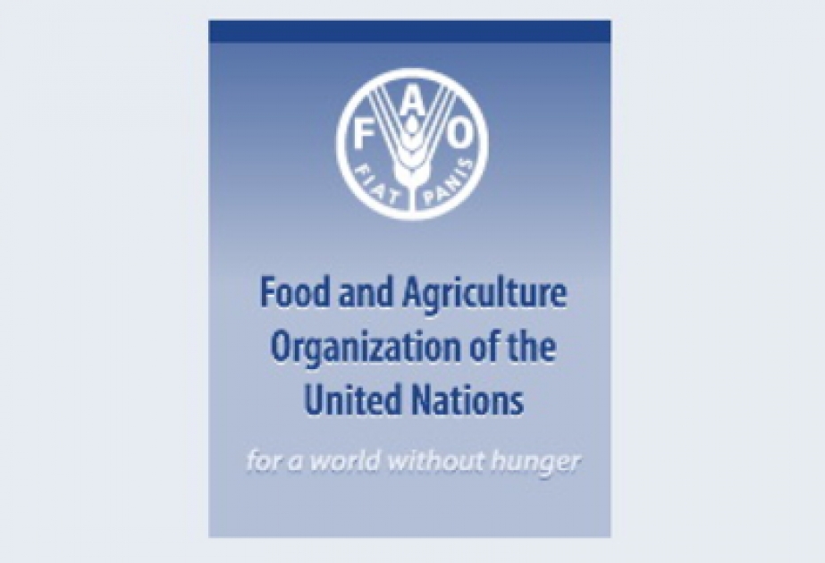 Une délégation azerbaïdjanaise participe à la session de l’Organisation des Nations Unis pour l’alimentation et l’agriculture à Rome