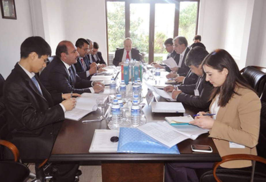 Les organisations diasporiques des pays membres du Conseil de coopération des Etats turcophones mettront en place leurs centres régionaux