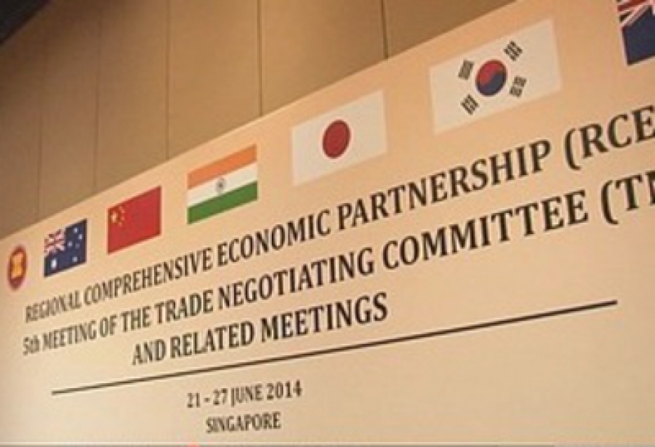 在新加坡已经开始全方位区域经济合作谈判