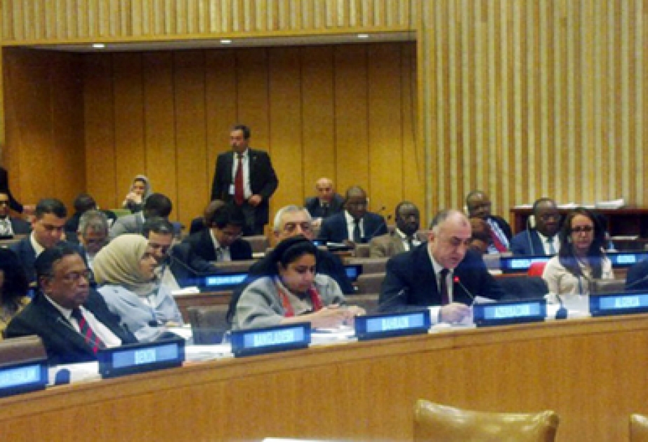 Azerbaijani FM delivers speech at meeting of Foreign Ministers of OIC member states