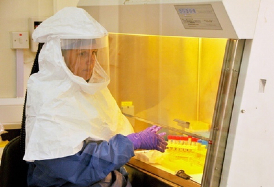 Многие люди обладают иммунитетом против вируса Эбола
