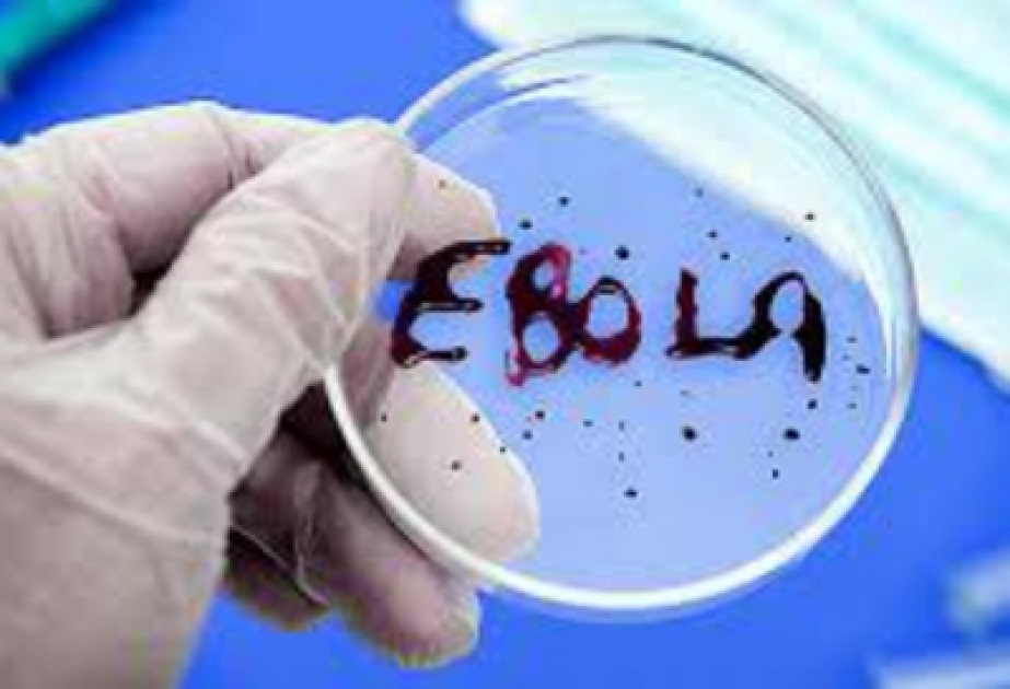 阿塞拜疆边境检查站加强对埃博拉病毒的卫生检疫监测