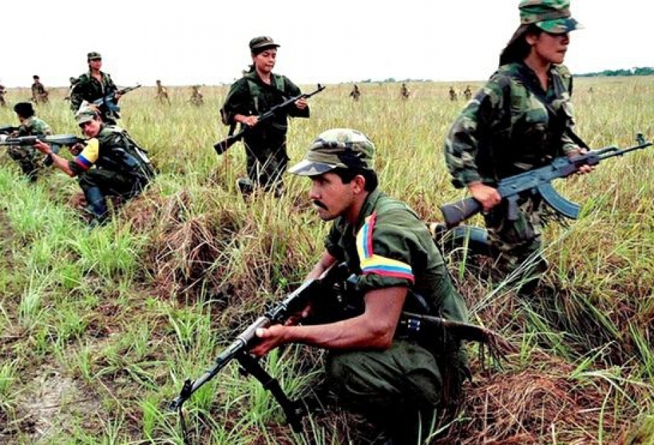 Colombia's FARC to release captured general