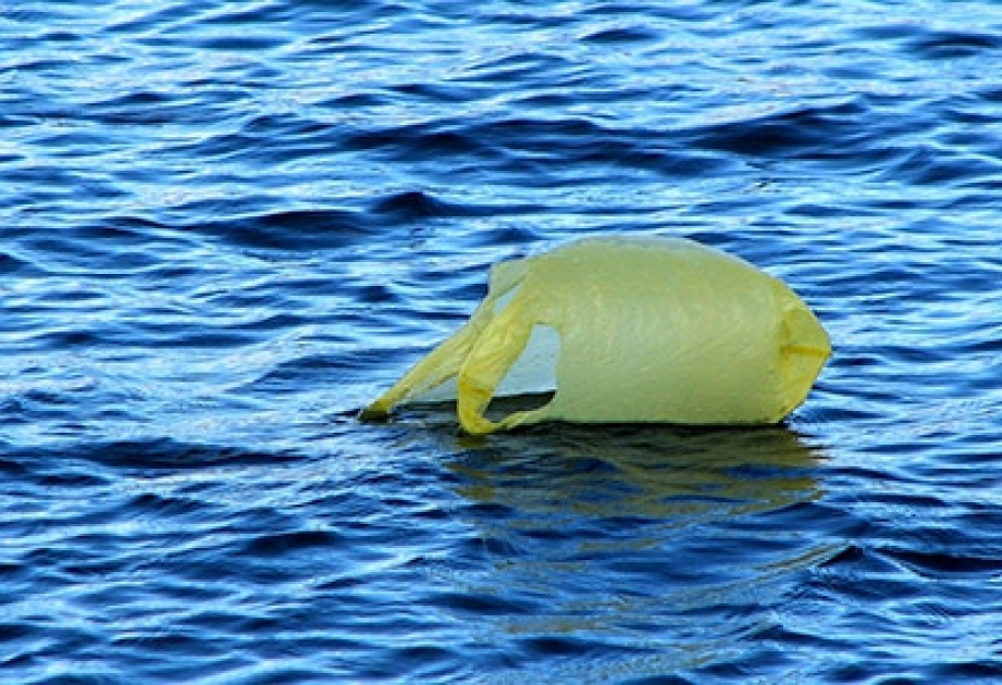 Mehr als fünf Billionen Plastikteile treiben auf den Weltmeeren