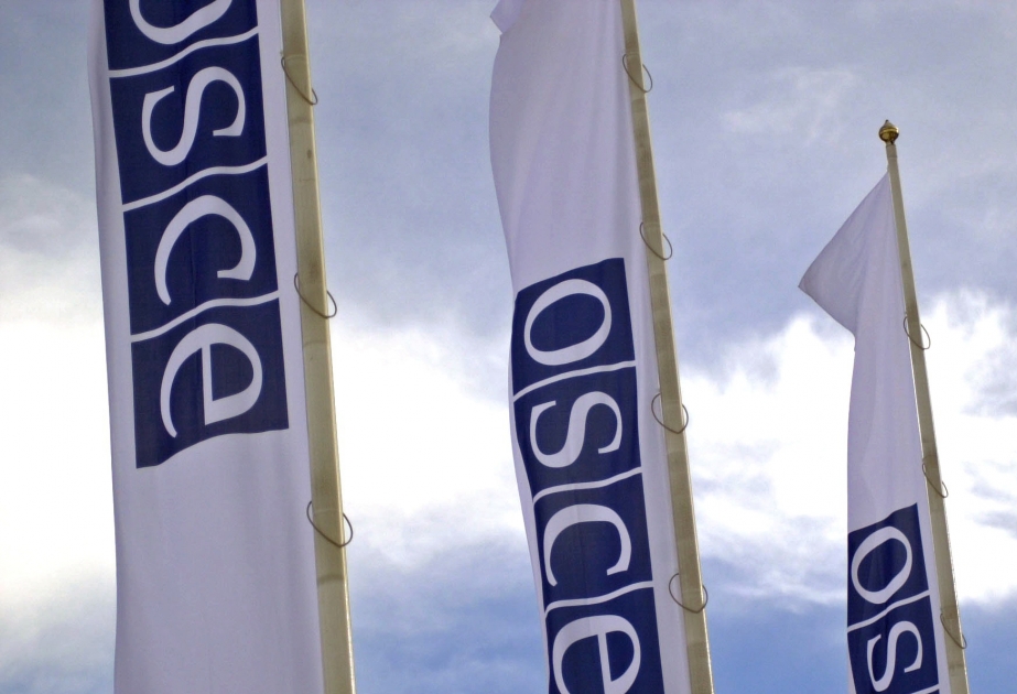 OSCE to hold monitoring on troops contact line VIDEO
