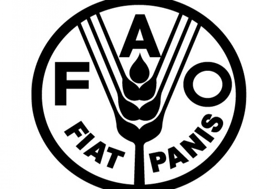 Azərbaycanda FAO-nun ofisinin yaradılması üzrə razılıq əldə edilib