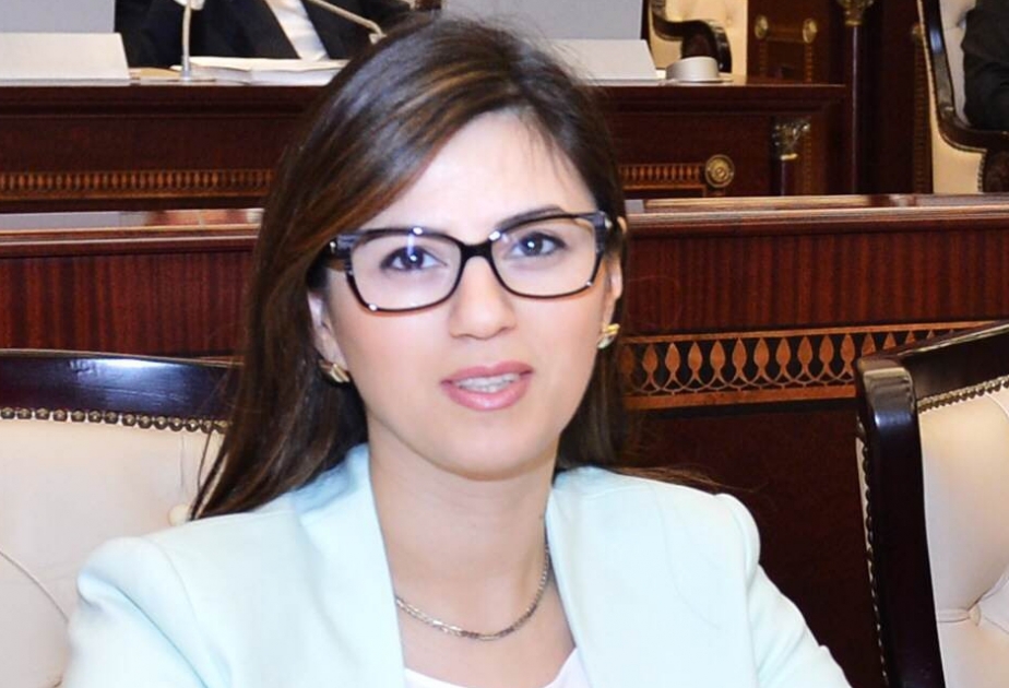 Milli Məclisin deputatı AŞPA komitəsinin sədr müavini seçilib