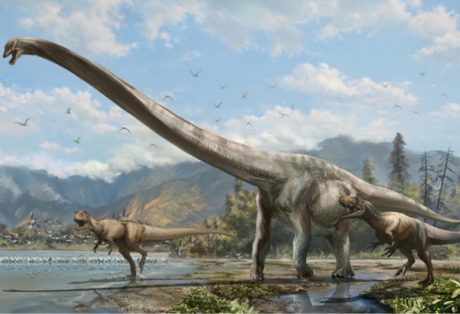 In China sind Forscher auf Überreste einer neuen Dinosaurier-Art gestoßen