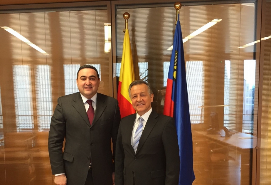 Azerbaijan, Liechtenstein discuss prospects for cooperation