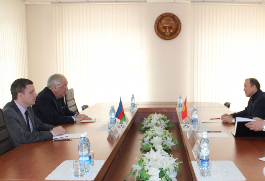 Azerbaijan, Kyrgyzstan discuss cooperation between internal bodies