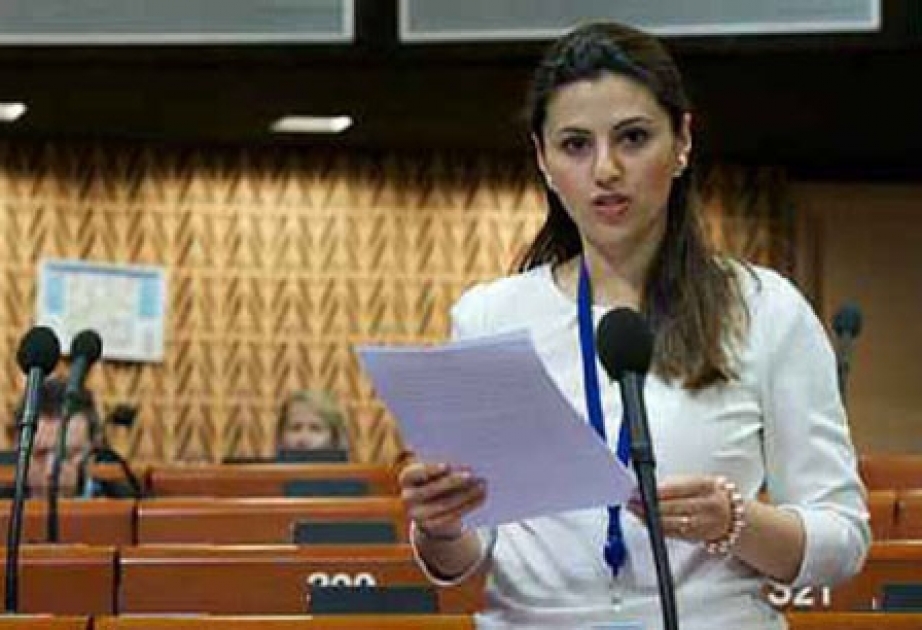 Azerbaijani MP elected PACE General Rapporteur on Children