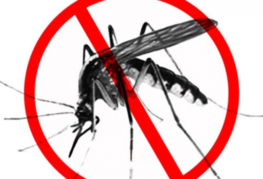 В Азербайджане за последние 2 года не отмечено ни одного факта заболевания малярией