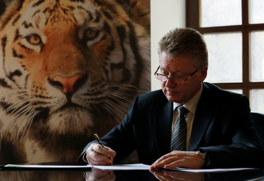 Amur Tiger selected as mascot for International Sambo Federation