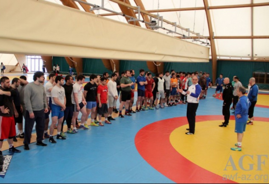 Азербайджанские борцы вольного стиля продолжают подготовку к первым Европейским играм