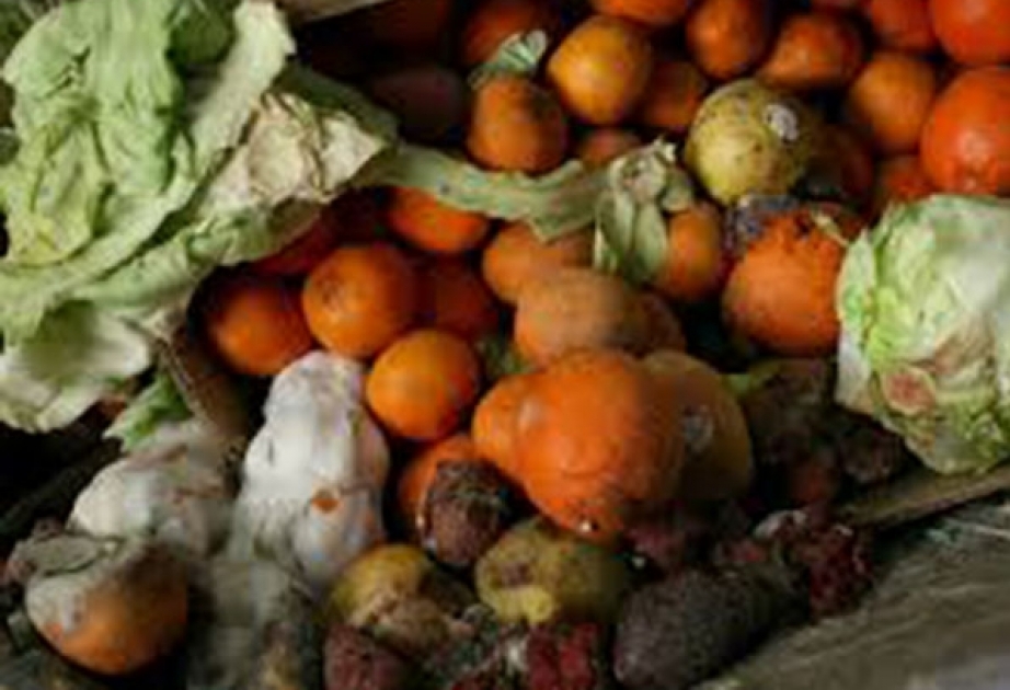Ежегодно в мире теряется или выбрасывается более 40 процентов фруктов и овощей