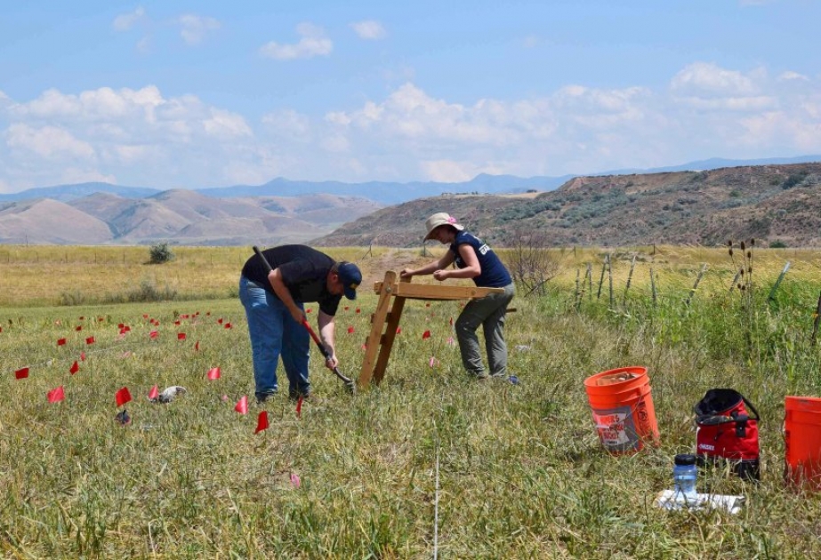 Archäologen suchen jetzt nach Spuren einer vergessenen Tragödie