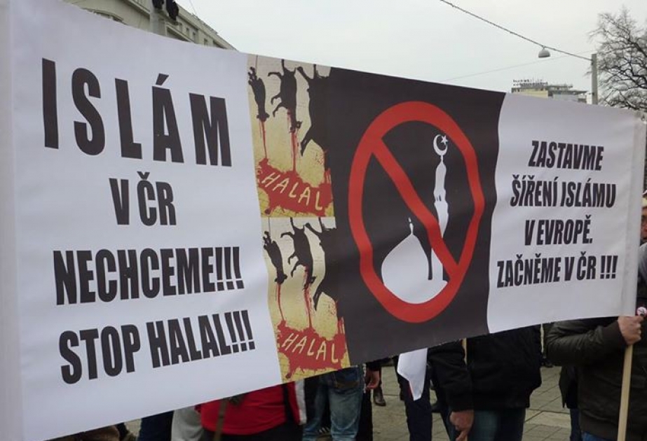 В Праге столкнулись антиисламисты и сторонники мультикультурализма