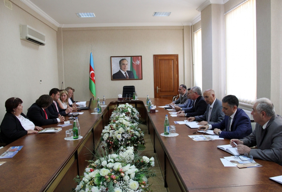 Azerbaijani Ministry of Agriculture, German's Haller company discuss prospects for cooperation