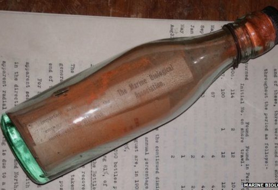 World’s oldest message in a bottle ever found finally washes up after 108 years