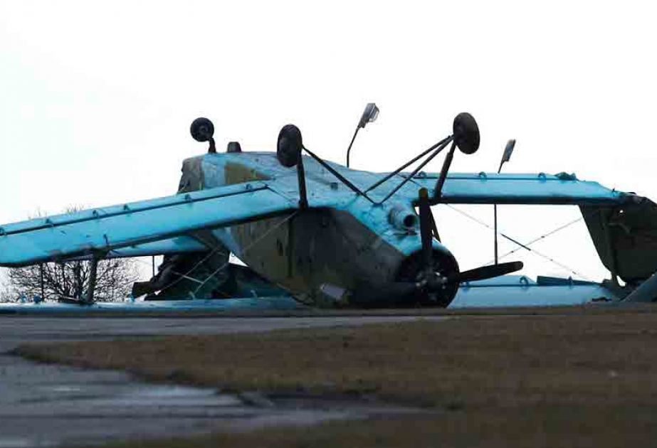 Air show spectators horrified after stunt plane plummeted to ground killing pilot