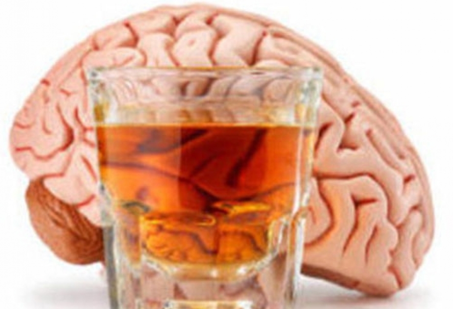 Найден механизм в мозге, определяющий отношение человека к алкоголю