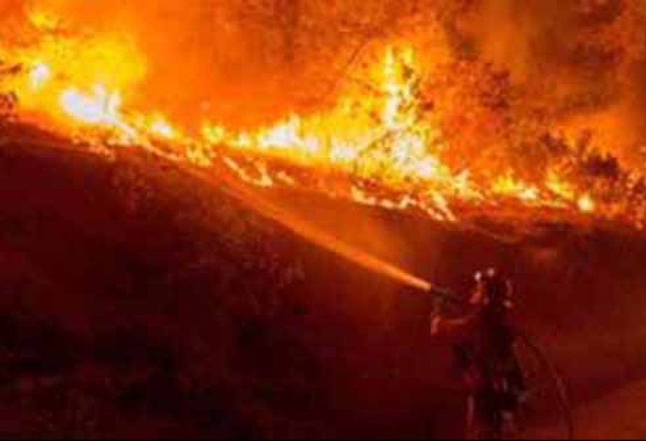 Heftige Wald- und Buschbrände im Norden Kaliforniens