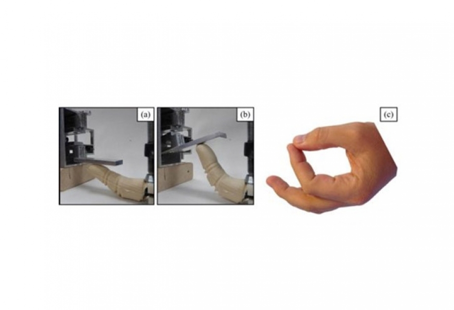 Bioinspired robotic finger advances prosthetics technology