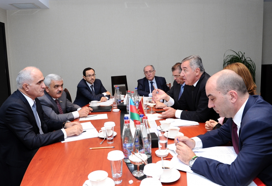 阿塞拜疆与黑山探讨经济联系发展前景