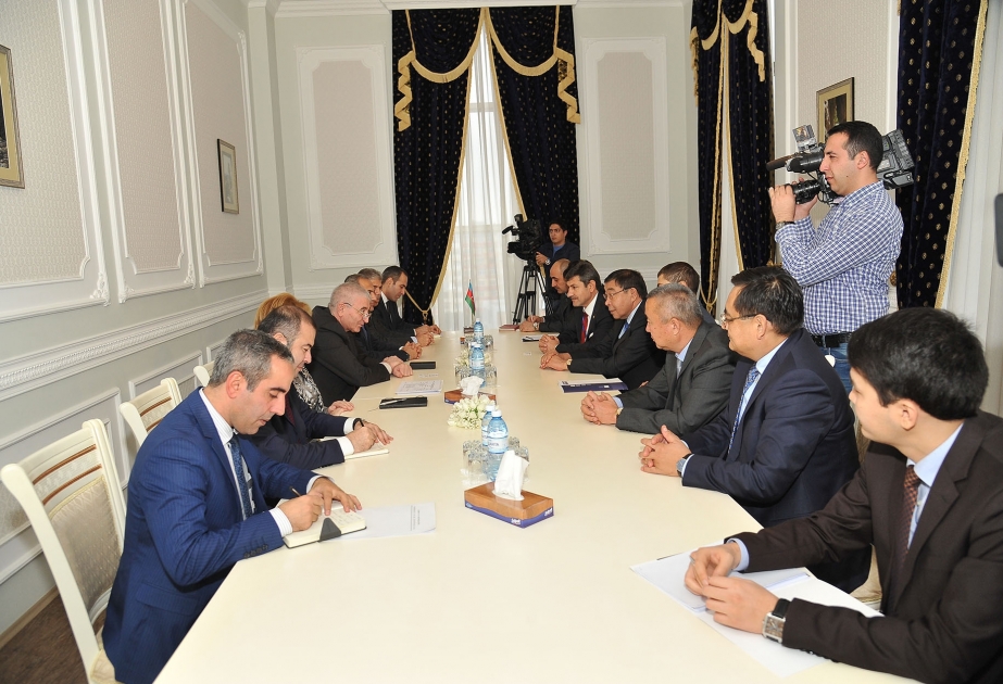 Azerbaijani CEC chairman meets TURKPA observation mission