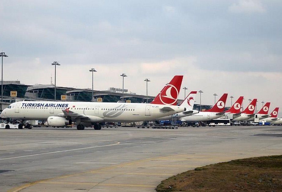 Turkish Airlines cancels flights to Sharm el-Sheikh