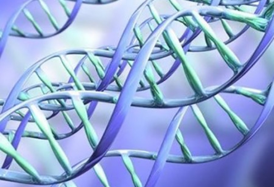 Ученые обсудят будущее генной инженерии