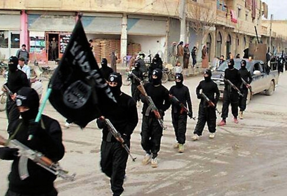 Isis earns US$80 million monthly but starting to struggle