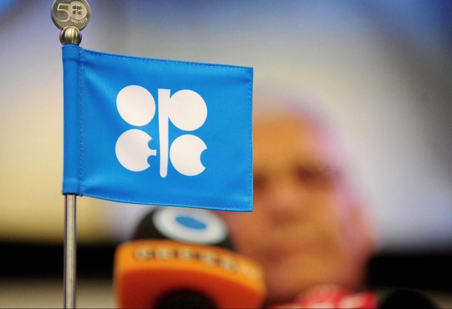 OPEC says low oil price won't continue, may rise within a year