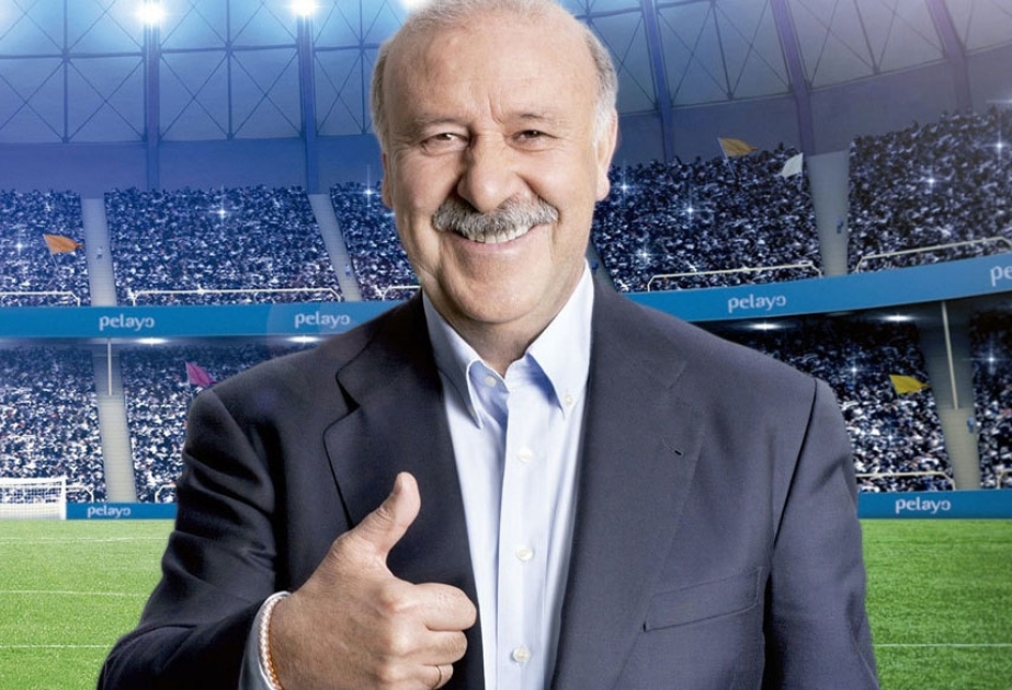 Vicente del Bosque reveals plan to quit Spain after Euro 2016 in new book