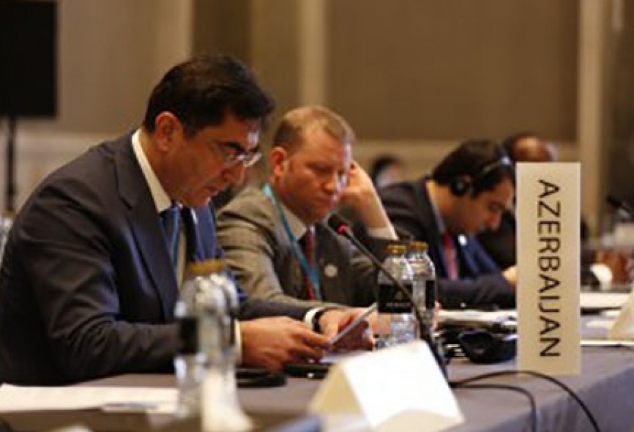Azerbaijani delegation attends 6th meeting of Assembly of International Renewable Energy Agency