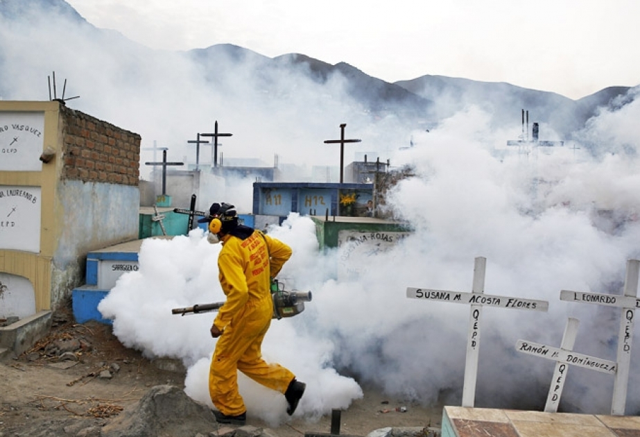 Venesuelada Zika virusundan üç ölüm faktı qeydə alınıb