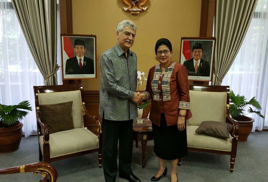 Azerbaijan, Indonesia discuss cooperation in health field