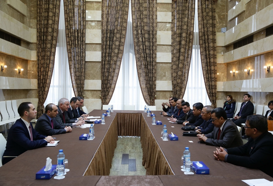 Chairman of Central Election Commission meets Indonesian delegation