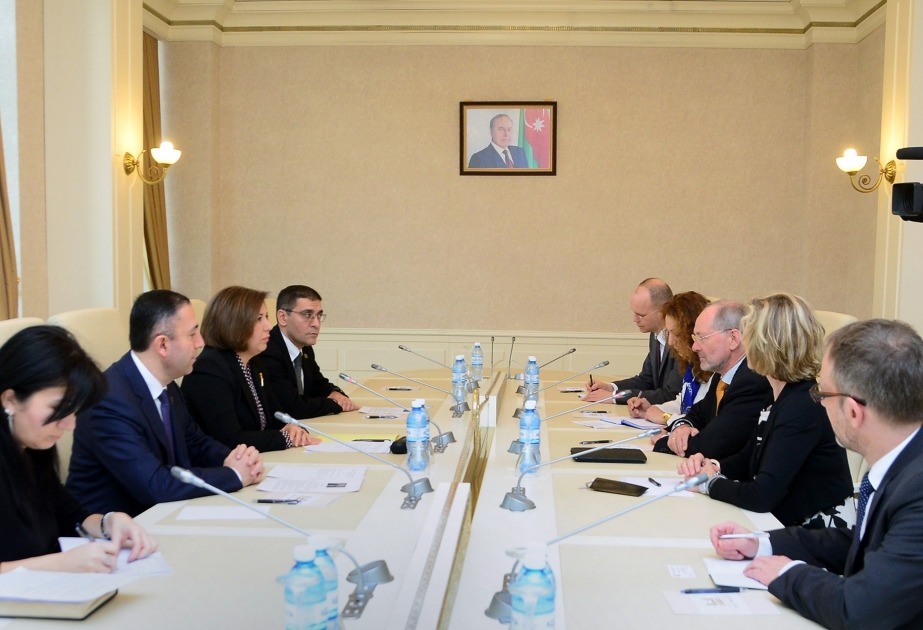 Azerbaijan, OSCE discuss cooperation prospects