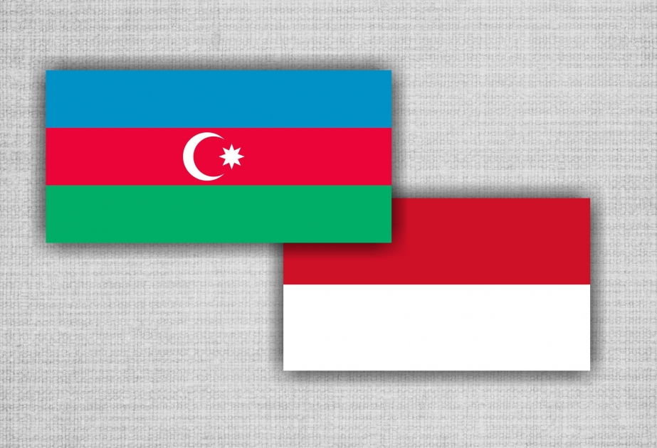 'Azerbaijan is interested in expanding cooperation with Indonesia in energy sector'
