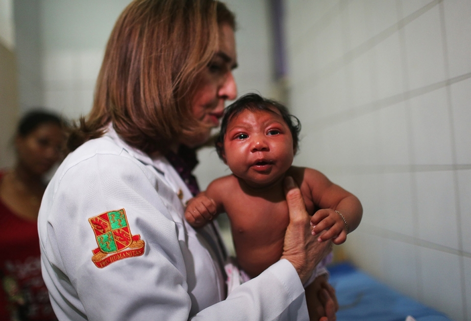 WHO: Zika-Virus grassiert seit Monaten in Lateinamerika