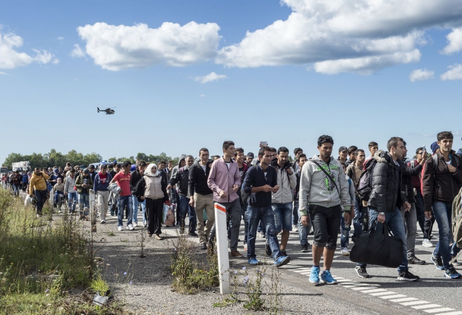 В Норвегии будут платить 3,6 тысячи долларов беженцам, которые добровольно покинут королевство