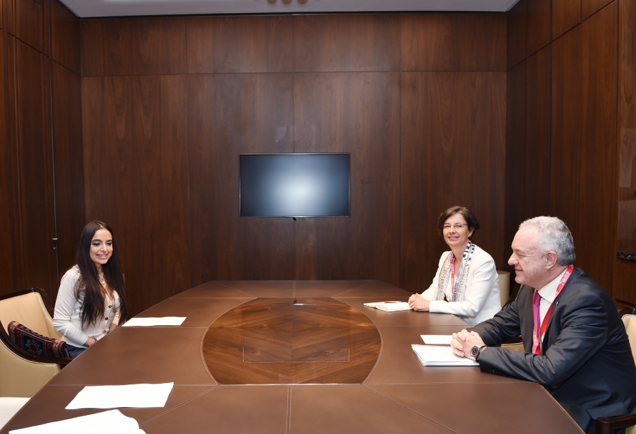 Vice-president of Heydar Aliyev Foundation meets with FAO officials