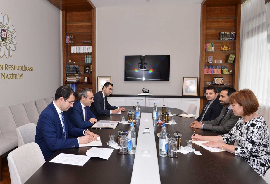 Azerbaijan, UK discuss educational cooperation