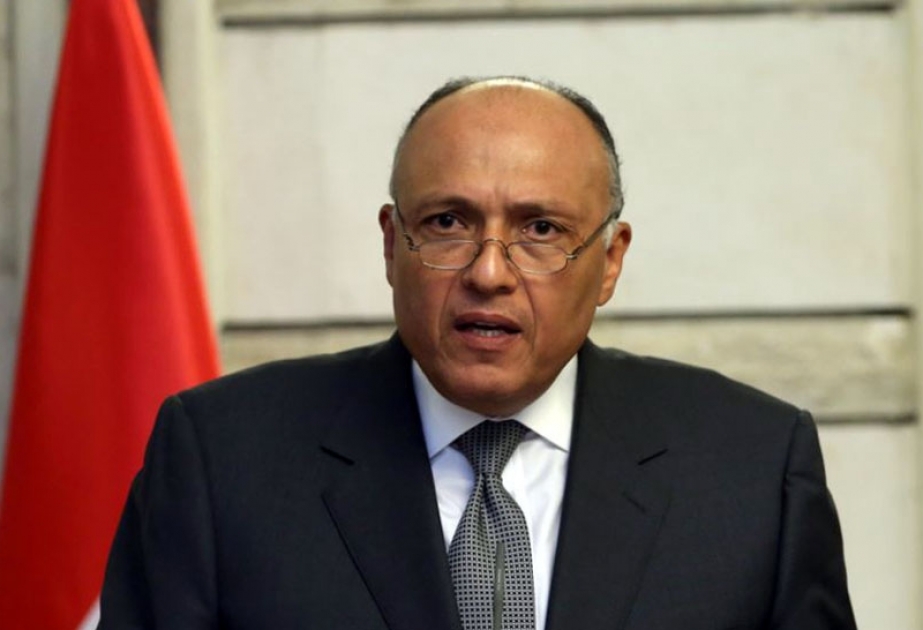 Каир обеспокоен тоном высказываний Рима по делу об убийстве итальянского аспиранта