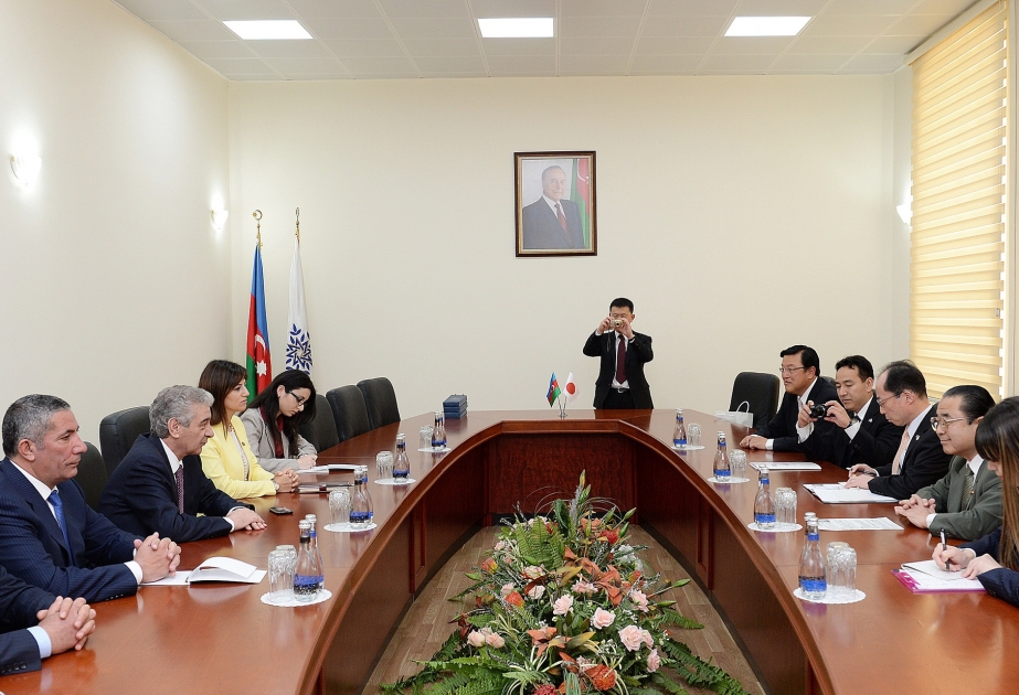 新阿塞拜疆党与日本自由民主党探讨联系发展前景