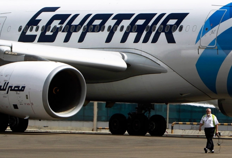 В Египте создана комиссия по расследованию катастрофы с самолетом А320