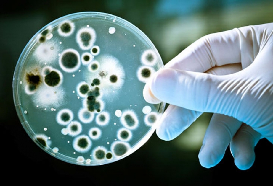 Bakterien reagieren nicht mehr auf Antibiotika