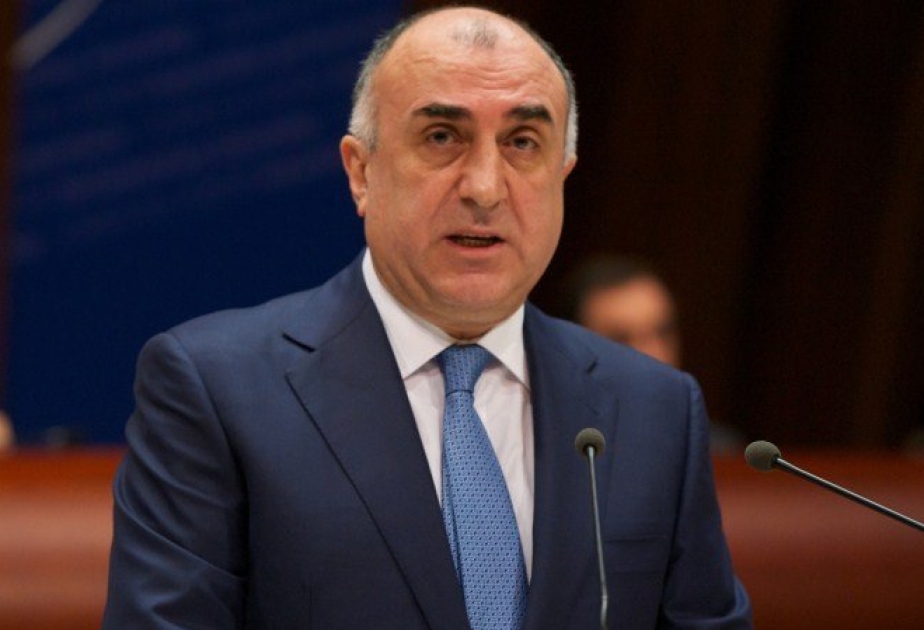 Azerbaijan`s FM delivers speech at North Atlantic Council